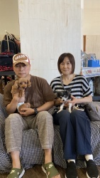 (ルクル トイプードル).jpg