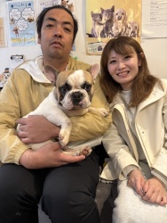 (ツヨオ　フレンチブルドッグ).JPG