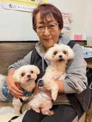 (てんもん　マルチーズ).JPG