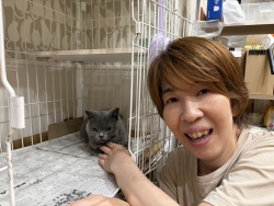 (まんよう　ブリティッシュショートヘア).JPG