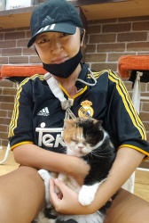 (おむぎ　スコティッシュフォールド).jpg