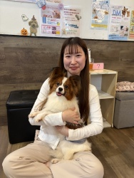 (ハイドン　パピヨン).jpg