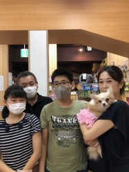 れいあ　チワワ.jpeg