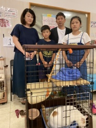ふぅ　マンチカン.jpg
