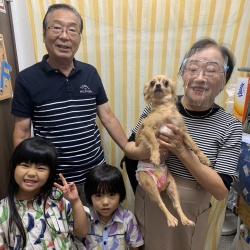 えの チワワ