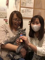 エース　シャルトリュー.jpeg