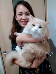 ハイル　ノルウェージャンフォレストキャット.jpeg