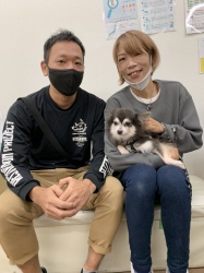 パルッシュ　チワワ.jpeg