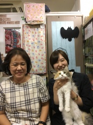 ビター　ノルウェージャンフォレストキャット.jpeg