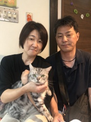 ふく丸　アメリカンショートヘア.jpeg