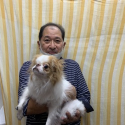 おかか 狆