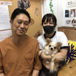 トーリ　チワワ.jpeg
