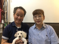 ぴったん　トイプードル.jpeg