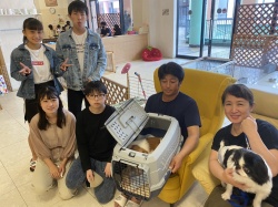 らっきょ チベタンスパニエル.jpg