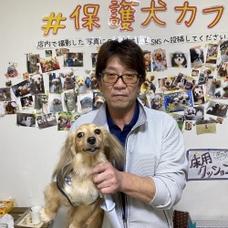 リリン　ミニチュアダックスフンド.jpg