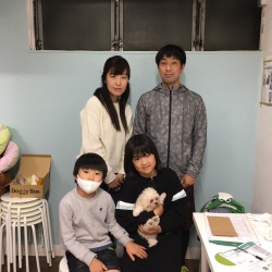 陸（りく）　トイプードル.