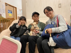  ぽんぽ　雑種犬.jpg