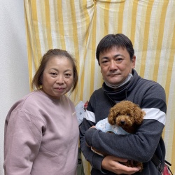 はなこ　トイプードル.jpg