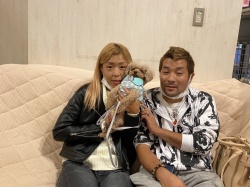 めかぶ　トイプードル.jpg