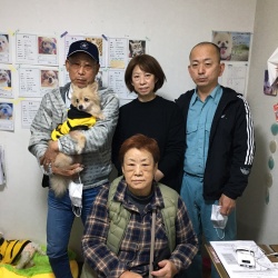 みこぷ   ポメラニアン.jpg