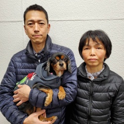 コタ　キャバリアキングチャールズスパニエル.jpg