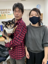 リサ　チワワ.jpeg