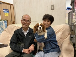  カム　キャバリアキングチャールズスパニエル.jpg