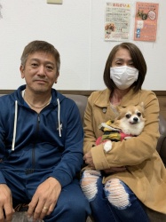 セリーヌ　チワワ.jpeg