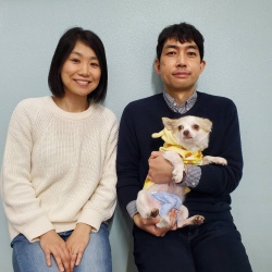 くるる　チワワ.jpg