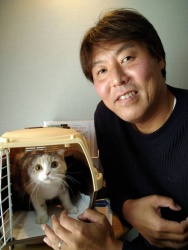 あいこ　スコティッシュフォールド.jpeg