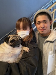 おかゆ　パグ.jpeg