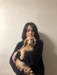 てんこ　ミニチュアダックスフンド.jpeg