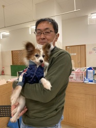 (ウルガ　パピヨン).jpg