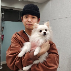 (こめ　ポメラニアン).jpg