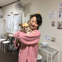 (からこ チワワ).jpg
