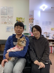 まいまい　チワワ.jpeg
