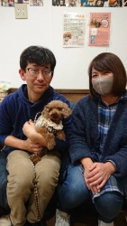 モア　トイプードル.jpeg