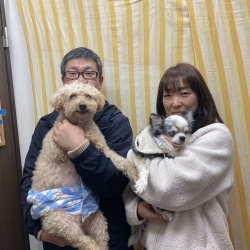 (かつお　チワワ).jpg
