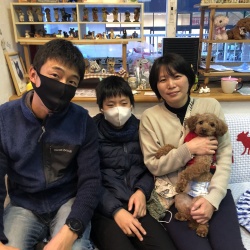 ピアネ　トイプードル.jpeg