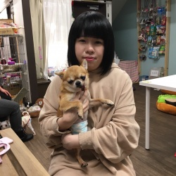 (こーたろう チワワ).jpg