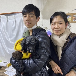 (トリュフ　トイプードル).jpg