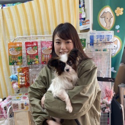 (リボン　パピヨン).jpg