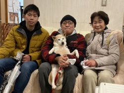 (花　柴犬).jpg