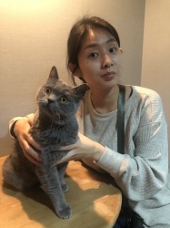 もっちん　ブリティッシュショートヘア.jpeg