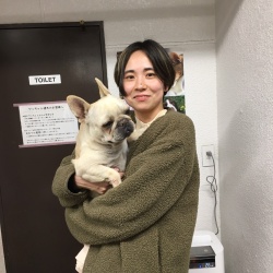 (ざらめ フレンチブルドッグ).jpg