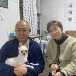 (竹千代(たけちよ) チワワ).jpg