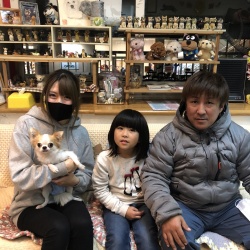 ピノ子　チワワ.jpeg