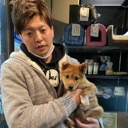 おみこ　雑種.jpeg