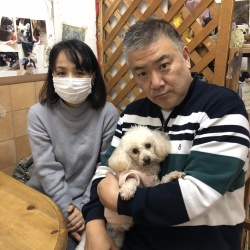 ネシュー　トイプードル.jpeg