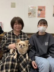 ミイ　チワワ.jpeg